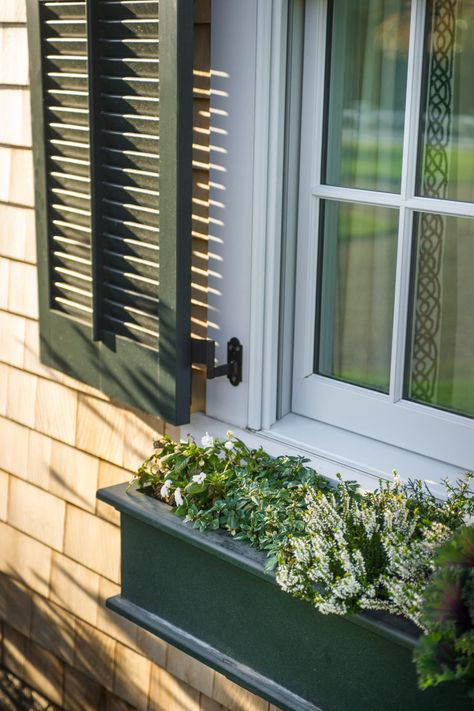 New England Foliage, Cape Cod Exterior, Essex Green, Shutters Window, Patrick Ahearn, Shower Pictures, Hgtv Dream Homes, Green Shutters, Cape Cod Home