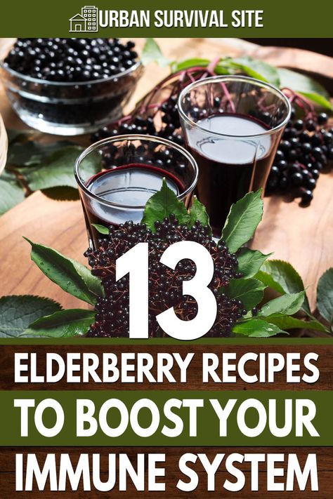 Let’s look at the elderberry, its health benefits, and some tasty, immune-boosting elderberry recipes you can make at home. Elderberry Benefits, Elderberry Wine, Herbal Vinegar, Elderberry Tea, Elderberry Juice, Elderberry Recipes, Elderberry Gummies, Elderberry Syrup, Herbal Recipes