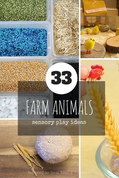 33 Sensory Play Ideas with Farm Animals - perfect for any time of the year, from simple sensory bins and fun crafts to more elaborate small world play. Farm Snacks, Toys Topic, Farm Sensory Bin, Sensory Bin Play, Domesticated Animals, Eyfs Ideas, Sensory Play Ideas, Farm Animals Activities, Play Farm