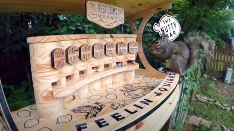 Nutty Bars, Unlikely Animal Friends, Quirky Bathroom, Squirrel Feeder, Bar Tap, Nut Bar, Backyard Bar, Animal Stories, Wooden Bar