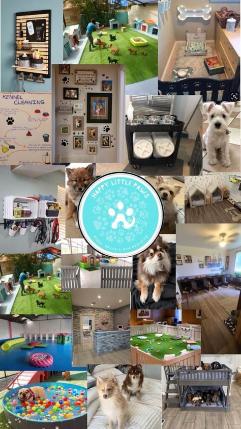 Happy little paws doggy daycare and boarding llc Doggie Daycare, Doggy Daycare, Dog Daycare, Animals