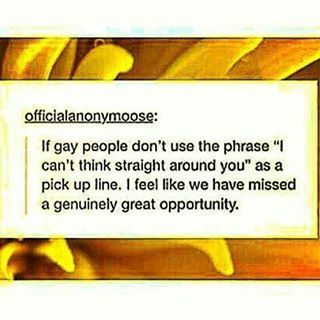 im dOING IT #bisexual Pick Up Line, Lgbt Memes, Lgbtq Funny, Pickup Lines, Gay Humor, Gay Memes, Pick Up Lines, Lgbtq Pride, Lgbt Pride