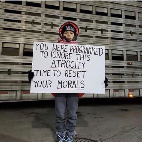 #morals #programmed #conditioned #indoctrination #vegan #govegan 🌱💚💪 Vegan Protest, Vegan Activism, Reasons To Be Vegan, Vegan Facts, Vegan Memes, Animal Activism, Vegan Quotes, Why Vegan, Animal Liberation