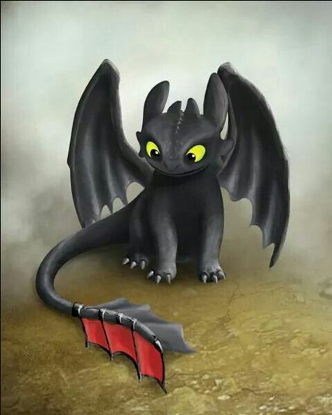 O Dragão banguela em desenho cartoon Toothless And Stitch, Art Girl Aesthetic, Arte Doodle, Toothless Dragon, Dragon Party, Dragon Trainer, Illustration Art Drawing, Illustration Art Girl, Train Your Dragon