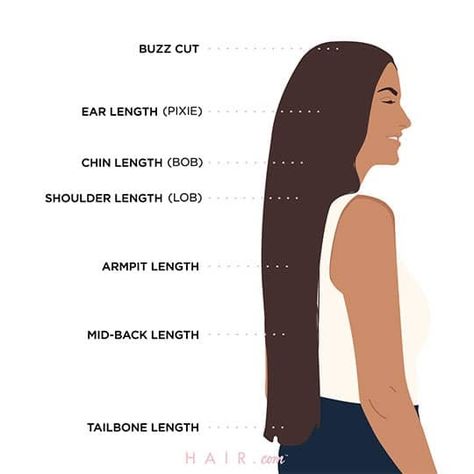 Different Hair Lengths Chart, Face Shape Chart, Should I Cut My Hair, Hair Length Guide, Hair Chart, Hair Length Chart, Makeup Hacks Beauty Secrets, Diy Beauty Hacks, Beauty Makeup Tips