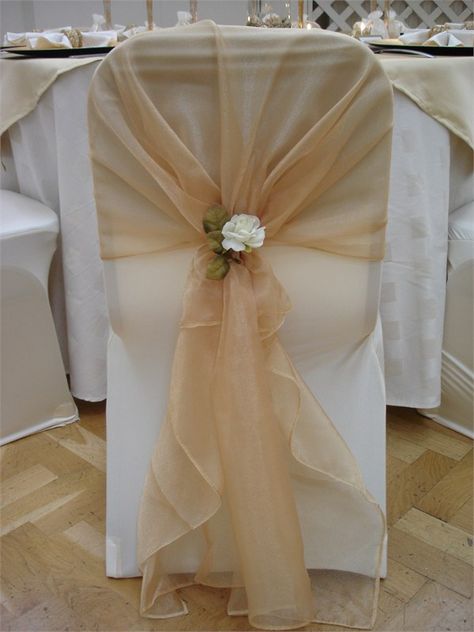 Wedding Chair Covers And Sashes, Organza Chair Sash Ideas, White Chair Covers With Gold Sash, Event Chair Decor, Chair Sash Ideas, Chair Cover Ideas, Chair Covers Wedding Reception, Chair Decor Wedding, Champagne Chairs