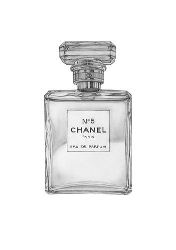 love chanel no.5. i have a drawing of this in my sketchbook. Chanel Perfume Tattoo, Chanel Bottle Drawing, Chanel No 5 Tattoo, Chanel Perfume Drawing, Chanel Illustration, Starbucks Art, Chanel Perfume Bottle, Chanel No5, Perfume Chanel