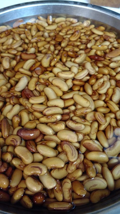 Pressure Canning Dried Beans Pressure Canning Beans, Canning Pinto Beans Pressure, Canning Dry Beans, Canning Dried Beans, Canning Beans, Dry Beans, Canned Beans, Pressure Canning, Pinto Beans