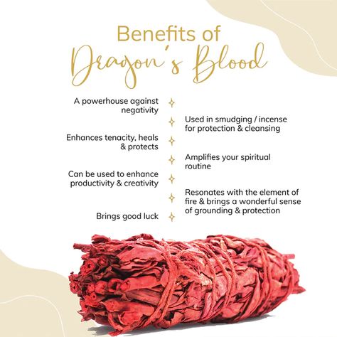 Homemade Incense, Sage Benefits, Blood Candles, Dragons Blood Incense, Wicca Recipes, Cleansing Rituals, Dried Sage, Witch Herbs, Burning Sage