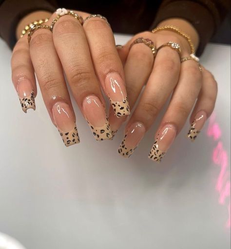 French Tip Square Nail Designs, Cheetah Square Nails, Cheetah Tip Nails, Cheetah Print Nails Acrylic, Nude Cheetah Nails, Cheetah Print Nails Short, Nail Designs Square Shape, Cheetah French Tip Nails, Cheetah Print French Tip Nails