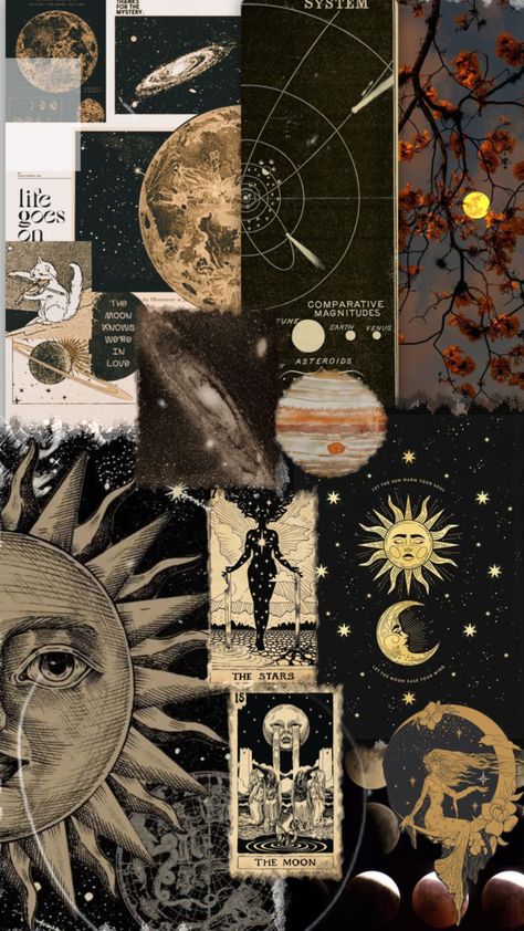 Astrology Collage, Astrology Aesthetic, Fig, Astrology, Collage, Iphone, 10 Things