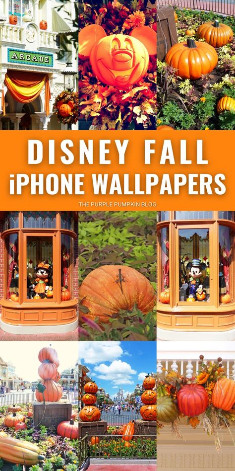 Disney Fall Wallpaper Iphone, Disney Autumn Wallpaper, Disney Fall Aesthetic, Fall Disney Wallpaper, Disney Fall Wallpaper, Weekend Wallpaper, Disney Autumn, Minnie Pumpkin, Iphone Wallpaper World