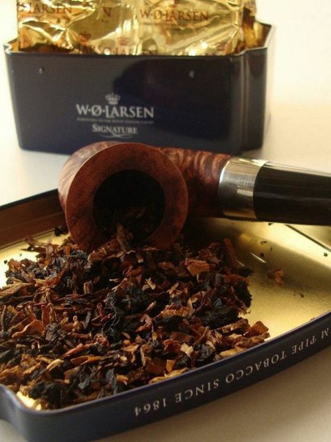 Daily Man Up (25 Photos) - Suburban Men Premium Cigars, Pipes And Cigars, Good Cigars, Pipe Dream, Man Up, Young Men, The Next Generation, Next Generation, Cigars