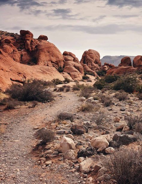 Red Rock Canyon is one of the best nature destinations near Las Vegas, Nevada Red Rock Canyon Las Vegas, Rock Nature, Nature Destinations, Nevada Travel, Red Rock Canyon, Valley Of Fire, Best Nature, Vegas Trip, Zion National Park