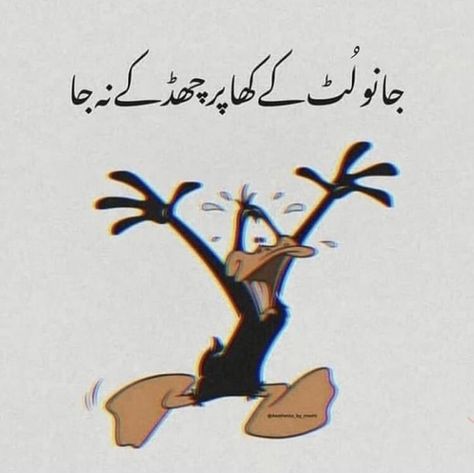 Vimal Chandran, Urdu Memes, A Friend Is Someone Who, Funny Urdu, Poetry Funny, Urdu Funny Quotes, Funny Quotes In Urdu, Urdu Funny Poetry, Funny Poetry