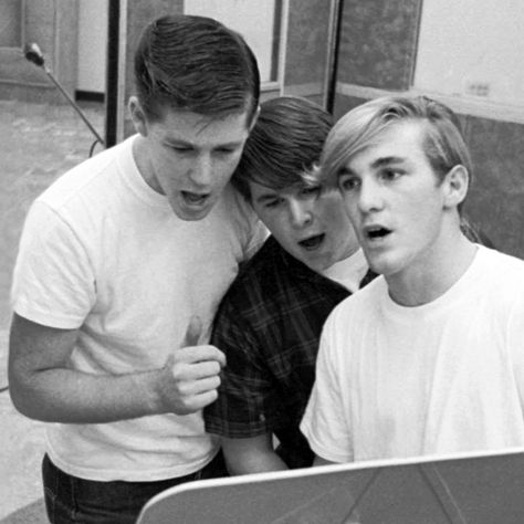 The Beach Boys Wilson Brothers, America Band, Carl Wilson, Dennis Wilson, Beach Boy, Brian Wilson, Musica Rock, Beach Boys, Country Rock