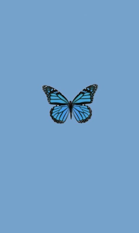 Blue Butterfly Wallpaper, Wallpaper Iphone Disney Princess, Iconic Wallpaper, Butterfly Wallpaper Iphone, Simple Iphone Wallpaper, Cute Simple Wallpapers, Wallpaper Iphone Disney, Trendy Wallpaper, Iphone Wallpaper Vintage