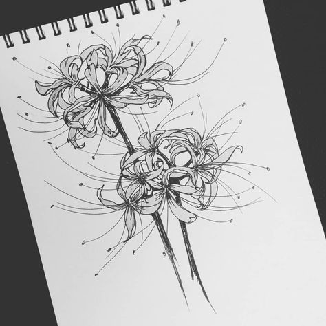 flowers from anime ‘Tokyo ghoul’ lycoris radiata Tokyo Ghoul Flower Tattoo, Tokyo Ghoul Flower, Lycoris Radiata, Anime Tattoos, A Drawing, Tokyo Ghoul, Flower Tattoo, Tattoo Designs, Tokyo