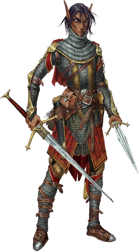 Elf Rouge, Pathfinder Elf, Arcane Archer, Fighter Dnd, Dnd Fighter, Dragons Inspiration, Pathfinder Rpg Characters, Dnd Board, Dnd Party