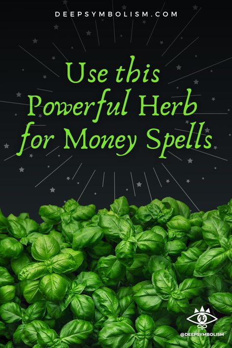 Herbs For Prosperity Money, Herbs For Financial Abundance, Basil Money Spell, Money Herbs Magic, Herbs For Money Spells, Money Rituals Magic Spells, Money Attraction Spells, Herbs For Wealth And Prosperity, Herbs For Money