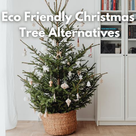 7 Amazing Eco Friendly Christmas Tree Alternatives To Consider - Sustain Life Journal Alternatives For Christmas Trees, Grow Your Own Christmas Tree, Alternative Yule Tree, Christmas Tree Ideas No Tree, Christmas Tree Sustainable, Zero Waste Christmas Tree, Christmas Decorations Without A Tree, Alternatives To Christmas Trees, Eco Friendly Christmas Tree