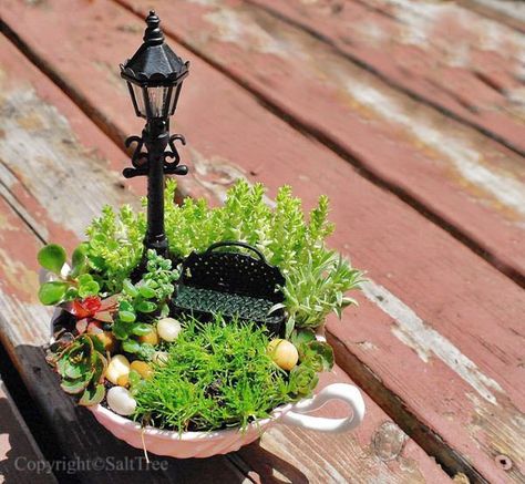 Miniature Teacup Garden Fairy Garden Design Ideas, Teacup Gardens, نباتات منزلية, Fairy Garden Designs, Mini Fairy Garden, Faeries Gardens, Fairy Garden Houses, Garden Terrarium, Diy Fairy