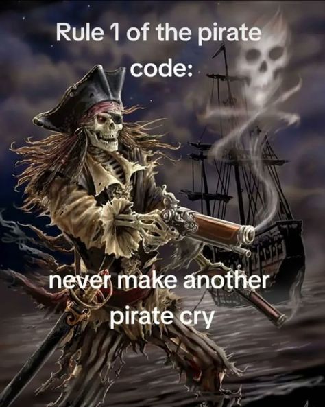 Pirate Code, Silly Skeleton, Cool Skeleton, A Bug's Life, Silly Cats Pictures, The Pirate, Good Quotes For Instagram, Hashtag Relatable, Funny Doodles