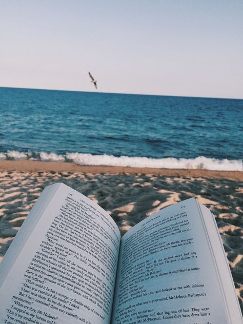 The Beach Aesthetic, Photo Wall Collage, Girl Reading, Beach Reading, Beach Poses, Open Book, Beach Aesthetic, Beach Vibe, Book Photography