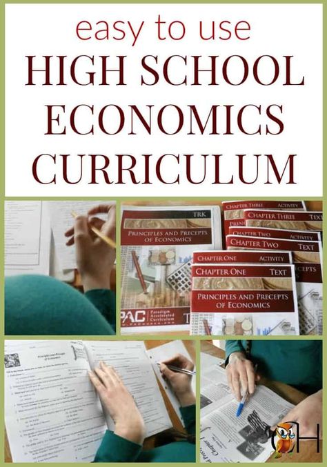 Economics Lessons High School, High School Economics, Teaching Economics, Homeschool High School Curriculum, High School Teen, Economics Lessons, High School Homeschool, Online High School, High School Curriculum