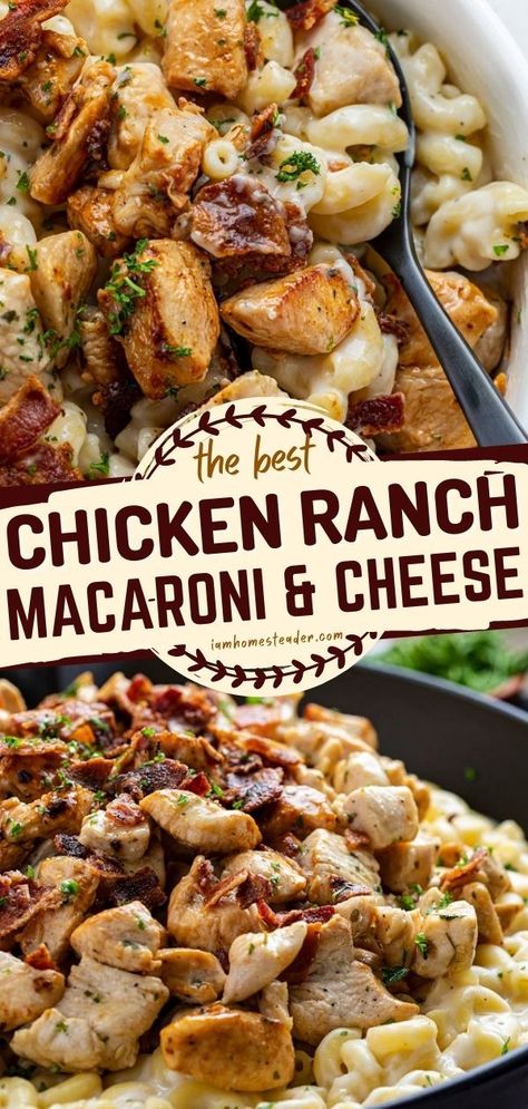 Ranch Seasoned Chicken, Ranch Macaroni And Cheese, Chicken Ranch, Seasoned Chicken, Pasta Dinner Recipes, Elbow Macaroni, Best Chicken, Crumbled Bacon, Chicken Dishes Recipes