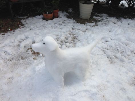 Ice Crafts, Dog Snowman, Sun Allergy, Snow Dog, Snow Animals, Snow Sculptures, Snow Art, Snow Fun, Sculpture Ideas