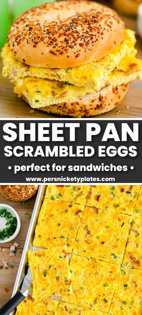 This sheet pan eggs recipe is perfect for serving a crowd or for meal prep. It's made with eggs, bacon, ham, cheese, and onions all baked on one sheet in under 30 minutes. | www.persnicketyplates.com Eggs For Sandwiches, Sweet Sandwiches, Sheet Pan Eggs, Egg Sandwich Breakfast, Ham Cheese, Eggs Recipe, Breakfast Meal Prep, Breakfast Recipes Casserole, Sheet Pan Dinners