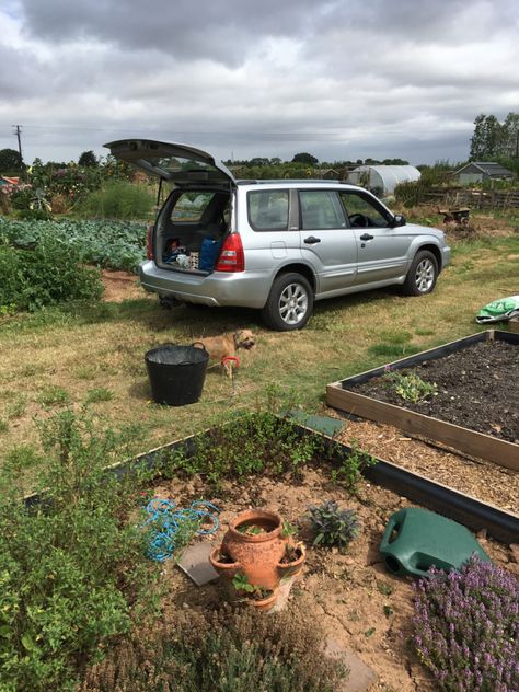 Subaru Forester sg5 on the allotment Subaru Aesthetic, Green Subaru, Old Subaru, Subaru Forester Sg5, 2004 Subaru Forester, Instagram Theme, Subaru Forester, Aesthetic Instagram Theme, Subaru