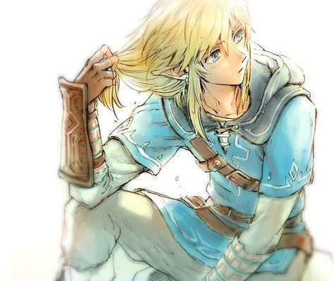 Link Fanart, Link Art, Link Zelda, Zelda Art, Legend Of Zelda Breath, Zelda Breath, Twilight Princess, Art Video, Breath Of The Wild