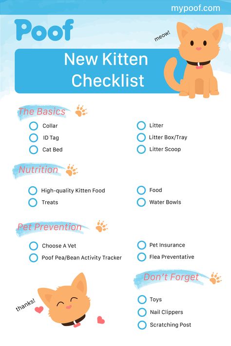 New Kitten Checklist! #kittenchecklist #kittens Kitten Checklist, Cat Checklist, Kitten Supplies, First Time Cat Owner, Cat Supplies List, Getting A Kitten, New Kitten, Cat Essentials, Newborn Kittens