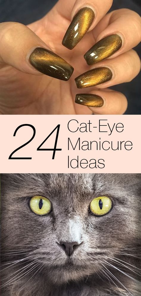 Cat-eye nails are HERE, and they've come to slay! See 24 killer ways that you can rock cat-eye manicures for spring — and for the rest of your life. Click above to see!😁#nailart #nailinspiration #naildesigns #nailsofinstagram #nailgoals Tiger Eye Gel Nails, Cats Eye Gel Polish, Cat Eye Shellac Nails, Cat Eye Nails By Skin Tone Range, Cats Eye Almond Nails, Tiger Eye Nail Art, Cat Eye Yellow Nails, Black And Gold Cats Eye Nails, Fall Nails Cateye