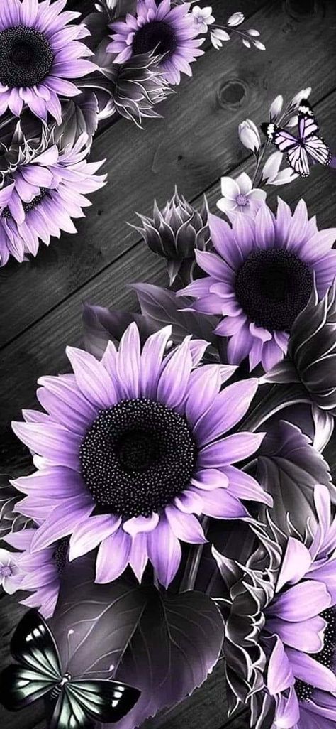 Sunflower Iphone Wallpaper, Beautiful Wallpapers For Iphone, Sunflower Pictures, Cute Fall Wallpaper, Pretty Phone Wallpaper, Flower Iphone Wallpaper, Sunflower Wallpaper, Cellphone Wallpaper Backgrounds, Cute Flower Wallpapers