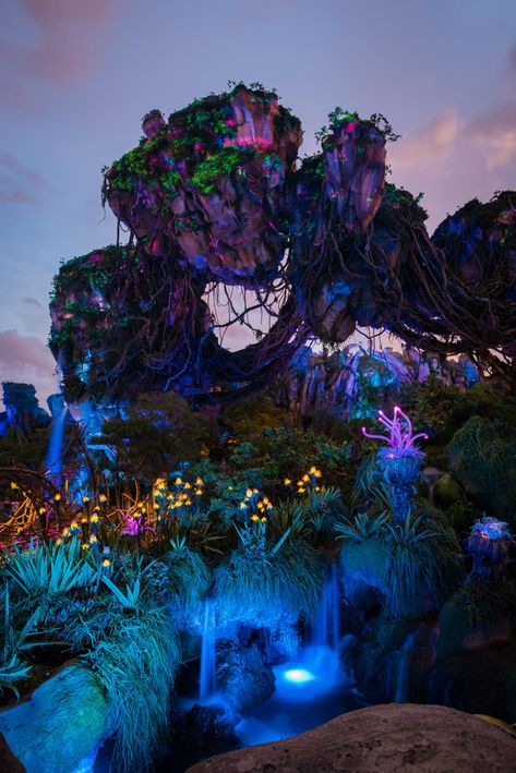 Disney World Aesthetic Night, Animal Kingdom Photography, Pandora Disney Animal Kingdom, Disney Animal Kingdom Wallpaper, Avatar Pandora Nature Wallpaper, Disney’s Animal Kingdom, Dream World Aesthetic, Animal Kingdom Pictures, Animal Kingdom Picture Ideas