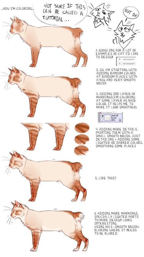 How To Draw Cat Fur Patterns, Cat Drawing Tips, Cat Body Drawing, Warrior Cats Reference, Markings Drawing, How To Draw Cat, Warrior Cats Oc Base, How To Draw A Cat, Cat Reference Photo