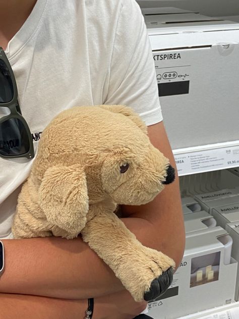 #goldie #dogs #plush #toy #ikea #sunglasses #cute #aesthetic #white #whiteaesthetic Ikea Dog Plush, Ikea Plush, Ikea Dog, Sunglasses Cute, Aesthetic White, Cute Aesthetic, Stuffed Toy, Plush Toy, Sunglasses