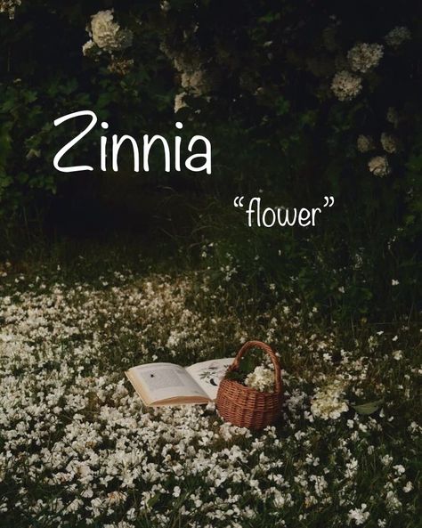 Dystopian Names, Beautiful Word, Girls Names, Zinnia Flowers, Aesthetic Names, Fantasy Book, Cute Names, Say My Name, What Is Your Name