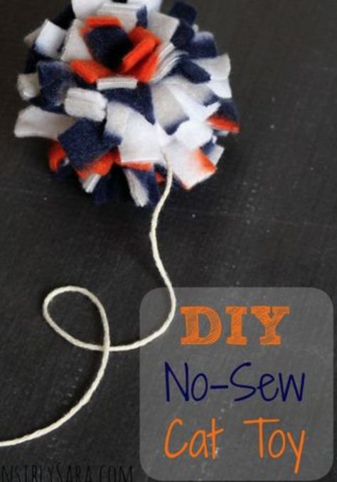 Diy Jouet Pour Chat, Cat Toy Ideas, Chat Diy, Brownie Scouts, Homemade Cat Toys, Diy Pet Toys, Diy Dog Toys, Diy Cat Toys, Pet Projects