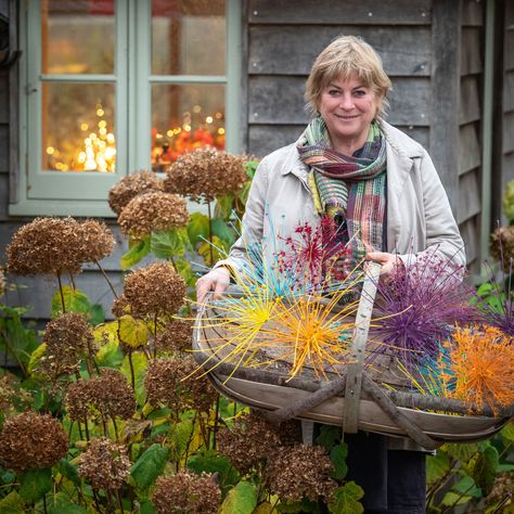 Ideal Home's garden expert Sarah Raven lists how to grow forced bulbs now and create stunning centrepieces, all in time for Christmas Forced Bulbs, Tips For Winter, Sarah Raven, Japanese Anemone, Eating Table, Root Structure, Window Ledge, Christmas Table Centerpieces, Beautiful Home Designs