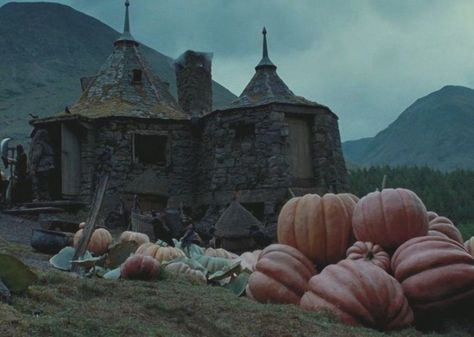 Harry Potter and the Prisoner of Azkaban (2004) Hagrids Hut, Stile Harry Potter, Gryffindor Aesthetic, Harry Potter Wall, The Prisoner, Creation Art, Images Harry Potter, The Prisoner Of Azkaban, Hogwarts Aesthetic