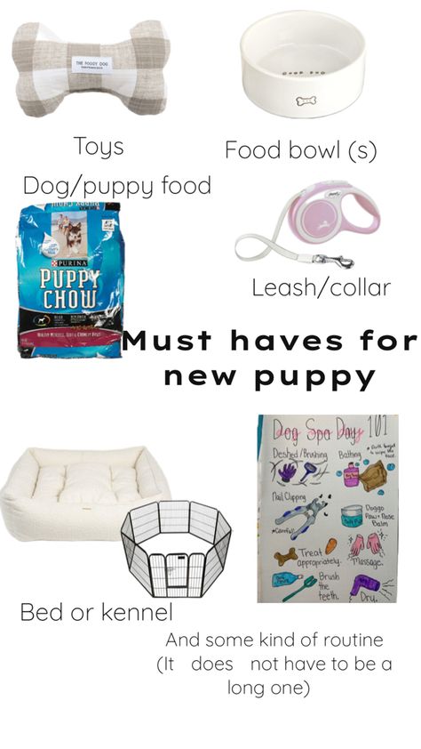 Some must have things for puppy Things You Need For A Puppy, Puppy Necessities, Puppy Products, Puppy Needs, Puppy Things, Puppy Dachshund, The Foggy Dog, Puppy Leash, Toy Food