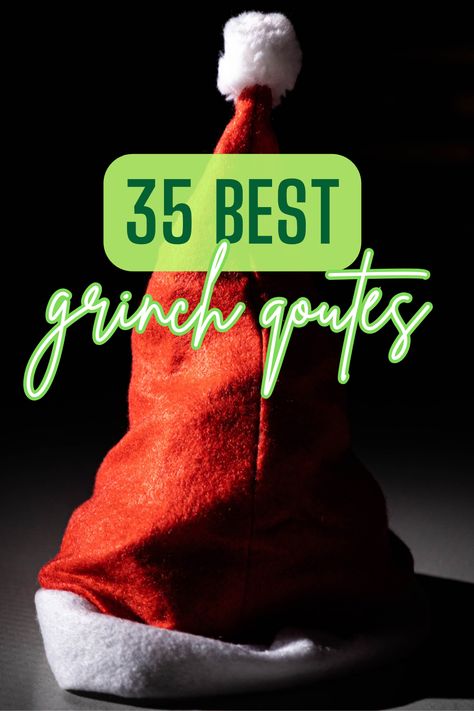 35 Best Grinch Quotes From "How The Grinch Stole Christmas" Grinch Jokes Hilarious, The Grinch Sayings Quotes, Grinch Sayings Christmas, Cindy Lou Who Quotes, How The Grinch Stole Christmas Quotes, Funny Grinch Quotes, Grinch Sayings Quotes, Grinch Captions For Instagram, Grinch Phrases