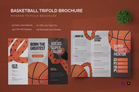 Basketball - Trifold Brochure Get it now!! #brochure #brochuretemplate #brochuredesign #business #template #trifold #bifold #bestbrochure #freebrochure #premiumdesign #design #envato #envatomarket #envatoelement #creativemarket #freepik #shutterstock Brochure Layout Trifold, Sports Brochure Design, Sport Brochure Design, Trifold Brochure Design Creative, Sports Brochure, Bifold Brochure Design, Brochure Design Creative, Brochure Ideas, Brochure Design Layout