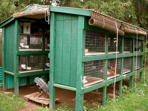 Poultry Farm Buildings, Reban Ayam, Rabbit Hutch Plans, Rabbit Shed, Poultry Farm Design, Quail Coop, Chicken Coop Garden, Chicken Shed, Rabbit Farm