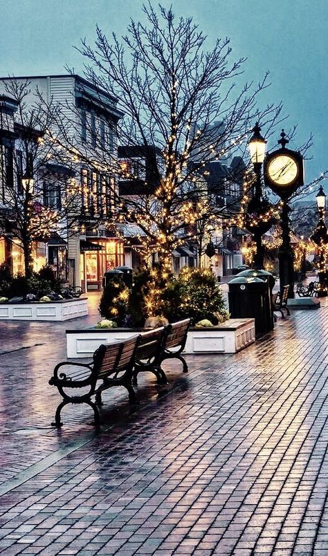 Washington Street Mall Cape May, NJ. in the Winter. Christmas Photograph, Have Inspiration, Cape May, City Street, Christmas Scenes, Christmas Aesthetic, Pretty Places, Winter Scenes, Vacation Spots