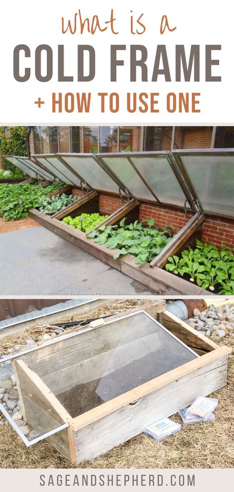 Learn everything you need to know about a cold frame! A cold frame allows you to plant earlier and grow cold hardy crops like lettuce and roots! Pallet Cold Frame, Garden Cold Frame Diy, Straw Bale Cold Frame, Coldframe Gardening Diy, How To Build A Cold Frame, Cold Frame Diy How To Build, Diy Cold Frame Ideas, Cold Box Gardening, Diy Cold Frame Raised Beds